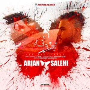 دانلود آهنگ جدید آرین صالحی پروانه