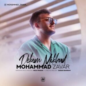 دانلود آهنگ جدید محمد زوار دلم میخواد