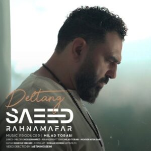 دانلود آهنگ جدید سعید رهنمافر دلتنگ
