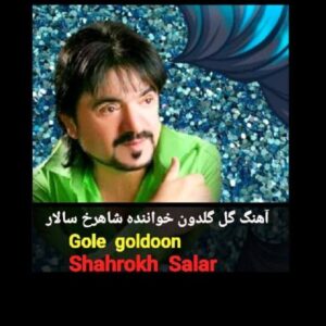 دانلود آهنگ جدید شاهرخ سالار گل گلدون دانلود آهنگ جدید شاهرخ سالار گل گلدون