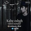 دانلود آهنگ جدید وحید نامدار خواب عشق