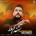 دانلود آهنگ جدید هادی اسماعیلی تشنه کربلا
