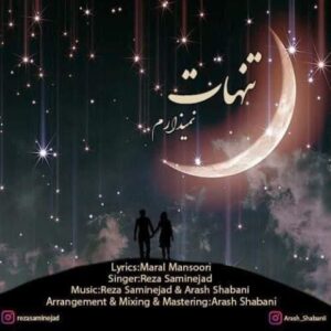 دانلود آهنگ جدید رضا سامی نژاد تنهات نمیزارم
