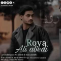 دانلود آهنگ جدید علی عابدی رویا