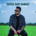 دانلود آهنگ جدید آرین صالحی گل سر سبد