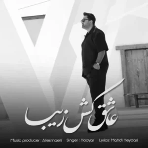 دانلود آهنگ جدید هویار عاشق کش زیبا