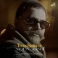 دانلود آهنگ جدید معین زد تن صدات
