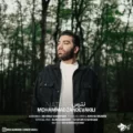 دانلود آهنگ جدید محمد زندوکیلی نترس