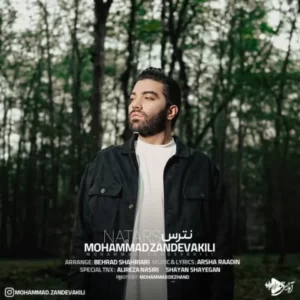 دانلود آهنگ جدید محمد زندوکیلی نترس