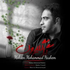 دانلود آهنگ جدید محسن محمد هاشم گل گلدون