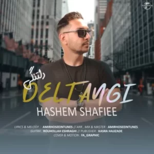 دانلود آهنگ جدید هاشم شفیعی دلتنگی