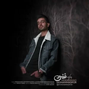 دانلود آهنگ جدید محمد محمدپور نفس