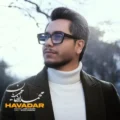  دانلود آهنگ جدید محمدرضا محمدیان هوادار