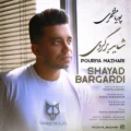  دانلود آهنگ جدید پوریا مظهری شاید برگردی
