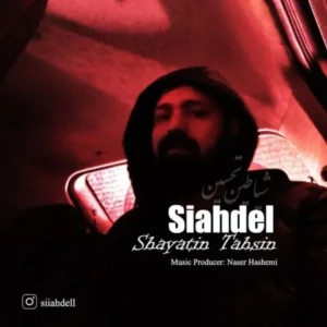  دانلود آهنگ جدید سیاه دل شیاطین تحسین