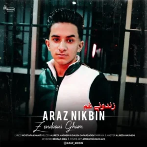 دانلود آهنگ جدید آراز نیک بین زندونی غم دانلود آهنگ جدید آراز نیک بین زندونی غم