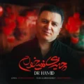 دانلود آهنگ جدید دکتر حمید چیزی نمیخوام