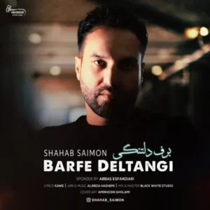 دانلود آهنگ جدید شهاب سایمون برف دلتنگی دانلود آهنگ جدید شهاب سایمون برف دلتنگی