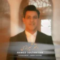 دانلود آهنگ جدید حامد سلطانیان دختر شیرازی