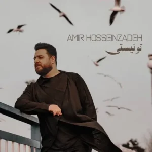 دانلود آهنگ جدید امیر حسین زاده تو نیستی