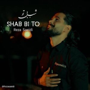 دانلود آهنگ جدید رضا سعیدی شب بی تو