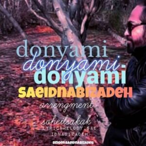 دانلود آهنگ جدید سعید نبی زاده دنیامی
