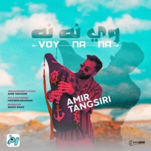 دانلود آهنگ جدید امیر تنگسیری وی نه نه