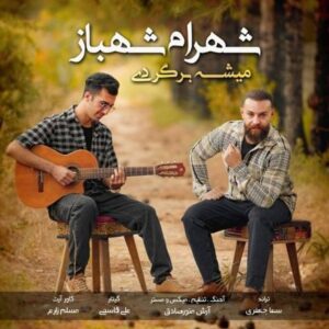 آهنگ جدید شهرام شهباز میشه برگردی