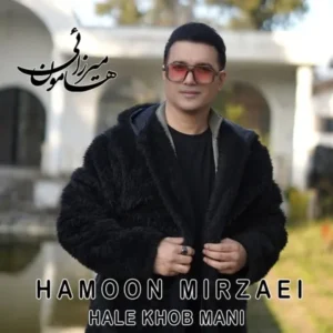 دانلود آهنگ جدید هامون میرزائی حال خوب منی