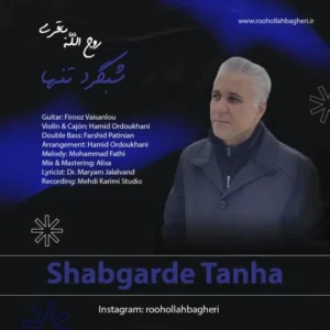 دانلود آهنگ جدید روح الله باقری شبگرد تنها دانلود آهنگ جدید روح الله باقری شبگرد تنها