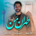 دانلود آهنگ جدید حمید فرزین تهران من
