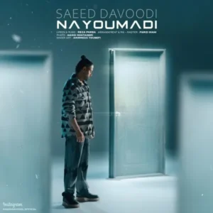 دانلود آهنگ جدید سعید داوودی نیومدی