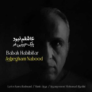 دانلود آهنگ جدید بابک حبیبی فر عاشقم نبود