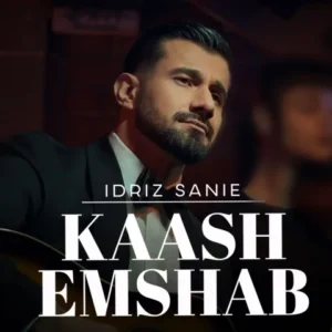 دانلود آهنگ جدید Idriz Sanie کاش امشب