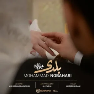 دانلود آهنگ جدید محمد نوبهاری بلدی