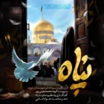 محمد عینی پور پناه