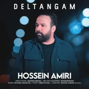 دانلود آهنگ جدید حسین امیری دلتنگم