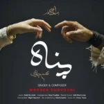 محسن چاوشی پناه