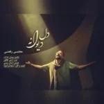 مجتبی رفعتی دل دیوانه