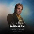 دانلود آهنگ جدید سعید آرام روشن ترین نگاه
