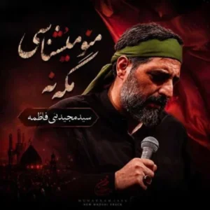 دانلود آهنگ جدید مجید بنی فاطمه منو میشناسی مگه نه