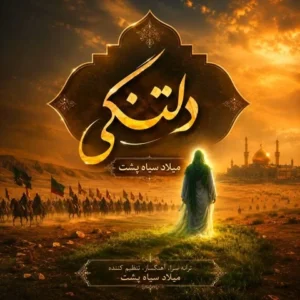 دانلود آهنگ جدید میلاد سیاه پشت دلتنگی