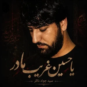 دانلود آهنگ جدید سید جواد ذاکر یا حسین غریب مادر